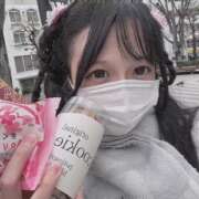 ヒメ日記 2026/04/03 09:31 投稿 なの CUTE