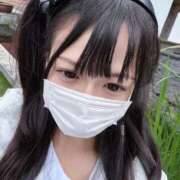 ヒメ日記 2026/04/17 09:16 投稿 なの CUTE