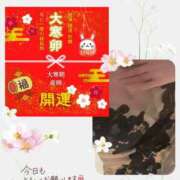 ヒメ日記 2026/01/20 06:16 投稿 酒井かおり MADAM