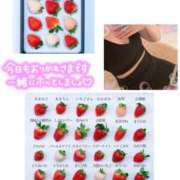 ヒメ日記 2026/01/26 16:16 投稿 酒井かおり MADAM