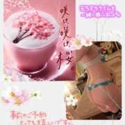 酒井かおり 向かってまぁーす? MADAM