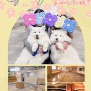 ヒメ日記 2026/03/07 13:46 投稿 酒井かおり MADAM