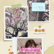 ヒメ日記 2026/03/20 06:01 投稿 酒井かおり MADAM