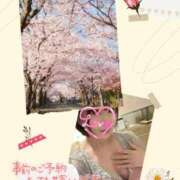 ヒメ日記 2026/04/05 14:01 投稿 酒井かおり MADAM