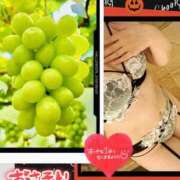 ヒメ日記 2026/10/08 06:01 投稿 酒井かおり MADAM