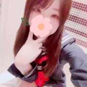 ヒメ日記 2025/12/29 10:46 投稿 みい CUTE