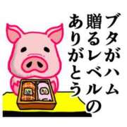 ヒメ日記 2025/12/31 13:46 投稿 永井まゆみ MADAM