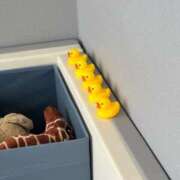 ヒメ日記 2026/01/28 10:31 投稿 永井まゆみ MADAM