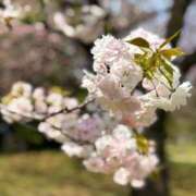 ヒメ日記 2026/03/13 08:01 投稿 永井まゆみ MADAM
