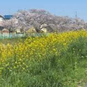 ヒメ日記 2026/04/03 12:16 投稿 永井まゆみ MADAM