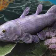 ヒメ日記 2026/04/30 07:16 投稿 永井まゆみ MADAM