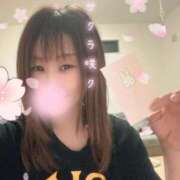 ヒメ日記 2026/05/12 19:31 投稿 永井まゆみ MADAM