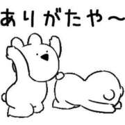 ヒメ日記 2026/06/03 11:16 投稿 永井まゆみ MADAM