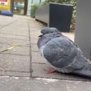 ヒメ日記 2026/02/22 12:01 投稿 早乙女みれい MADAM