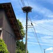 ヒメ日記 2026/06/14 05:01 投稿 早乙女みれい MADAM