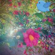 ヒメ日記 2026/01/27 19:46 投稿 近藤えま 華椿