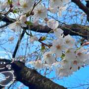 ヒメ日記 2026/03/27 15:31 投稿 近藤えま 華椿