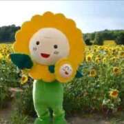 ヒメ日記 2026/08/10 07:01 投稿 近藤えま 華椿