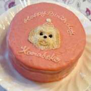 ヒメ日記 2025/12/17 19:31 投稿 安田ほのか MADAM