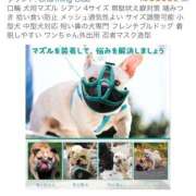 ヒメ日記 2025/12/23 20:31 投稿 安田ほのか MADAM