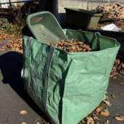 ヒメ日記 2025/12/28 15:46 投稿 安田ほのか MADAM