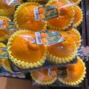 ヒメ日記 2025/12/29 21:01 投稿 安田ほのか MADAM