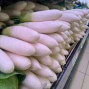 ヒメ日記 2025/12/30 06:16 投稿 安田ほのか MADAM