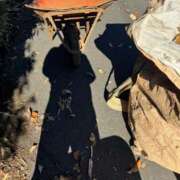 ヒメ日記 2025/12/30 19:46 投稿 安田ほのか MADAM