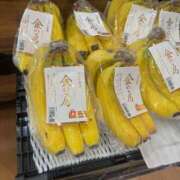 ヒメ日記 2025/12/31 17:46 投稿 安田ほのか MADAM