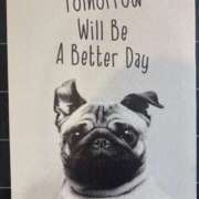 ヒメ日記 2025/12/31 20:01 投稿 安田ほのか MADAM