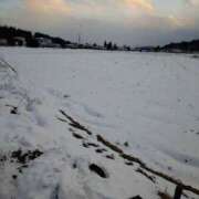 ヒメ日記 2026/01/10 09:46 投稿 安田ほのか MADAM