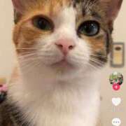 ヒメ日記 2026/01/12 19:16 投稿 安田ほのか MADAM