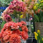 ヒメ日記 2026/01/22 11:46 投稿 安田ほのか MADAM