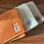 ヒメ日記 2026/01/24 16:31 投稿 安田ほのか MADAM