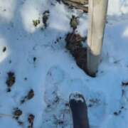 ヒメ日記 2026/02/09 08:31 投稿 安田ほのか MADAM