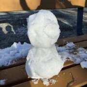 ヒメ日記 2026/02/09 10:31 投稿 安田ほのか MADAM