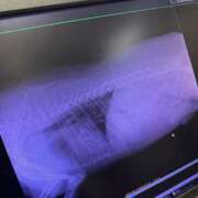 ヒメ日記 2026/02/12 12:17 投稿 安田ほのか MADAM