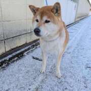 ヒメ日記 2026/02/15 18:01 投稿 安田ほのか MADAM