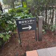 ヒメ日記 2026/02/17 15:16 投稿 安田ほのか MADAM