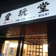 ヒメ日記 2026/02/17 17:16 投稿 安田ほのか MADAM