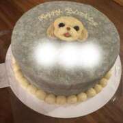 ヒメ日記 2026/02/19 05:31 投稿 安田ほのか MADAM