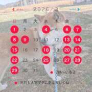 ヒメ日記 2026/02/25 07:31 投稿 安田ほのか MADAM