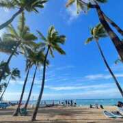 安田ほのか 【お礼写メ日記】ryoukouさま MADAM