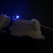 ヒメ日記 2026/03/02 06:46 投稿 安田ほのか MADAM