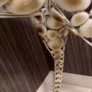 ヒメ日記 2026/03/06 18:31 投稿 安田ほのか MADAM