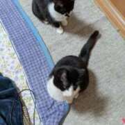 ヒメ日記 2026/03/09 05:31 投稿 安田ほのか MADAM