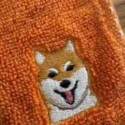 ヒメ日記 2026/03/09 16:46 投稿 安田ほのか MADAM