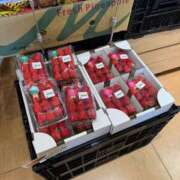 ヒメ日記 2026/03/24 06:31 投稿 安田ほのか MADAM