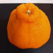 ヒメ日記 2026/03/31 19:16 投稿 安田ほのか MADAM