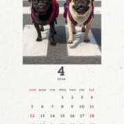 ヒメ日記 2026/04/02 05:46 投稿 安田ほのか MADAM